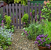 GARDEN VIEW WITH ERYSIMUM BOWLES MAUVE AND EUPHORBIA. GRAVELLED PATH AND GARDEN GATE, IN SPRING AT HIGH MEADOW CANNOCK WOOD