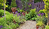 SUMMER GARDEN WITH POTS, GRAVEL PATH WITH TERRACOTTA POTS AROUND GARDEN GATE AND OPEN PALE COLOURED FENCE IN SUMMER GARDEN AT HIGH MEADOW CANNOCK WOOD