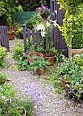 SUMMER GARDEN WITH LILIUM ORANIA IN POTS AND GRAVEL PATH AT HIGH MEADOW CANNOCK WOOD