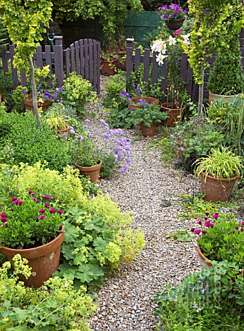 SUMMER_GARDEN_WITH_LILIUM_ORANIA_IN_POTS_AND_GRAVEL_PATH_AT_HIGH_MEADOW_CANNOCK_WOOD