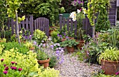 SUMMER GARDEN WITH LILIUM ORANIA IN POTS AND GRAVEL PATH AT HIGH MEADOW CANNOCK WOOD