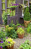 SUMMER GARDEN AT HIGH MEADOW CANNOCK WOOD STAFFORDSHIRE