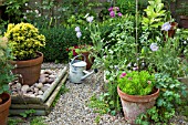 SUMMER GARDEN AT HIGH MEADOW CANNOCK WOOD STAFFORDSHIRE