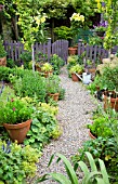 LILIUM ORANIA IN POTS, GRAVEL PATH WITH TERRACOTTA POTS AROUND GARDEN GATE IN SUMMER GARDEN AT HIGH MEADOW CANNOCK WOOD