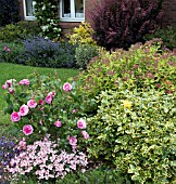 FRONT GARDEN AT WESTON OPEN GARDENS