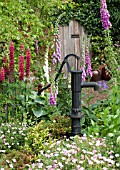 COUNTRY COTTAGE GARDEN WITH LUPINS AND GERANIUMS AT WESTON OPEN GARDENS