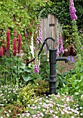 COUNTRY COTTAGE GARDEN WITH LUPINS AND GERANIUMS AT WESTON OPEN GARDENS