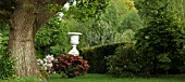 SCENIC COUNTRY GARDEN IN LATE SPRING, CONWY VALLEY MAZE