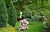 SCENIC COUNTRY GARDEN IN LATE SPRING, CONWY VALLEY MAZE