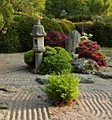 JAPANESE GARDEN IN LATE SPRING, WITHIN CONWY VALLEY MAZE