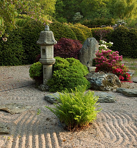 JAPANESE_GARDEN_IN_LATE_SPRING_WITHIN_CONWY_VALLEY_MAZE