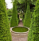 YEW SPIRES IN THE WELL GARDEN ROOM, AT WOLLERTON OLD HALL