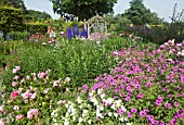 WIDE BORDERS OF HERBACEOUS PERENNIALS, AT WOLLERTON OLD HALL