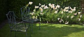 LILIUM REGALE AT WOLLERTON OLD HALL