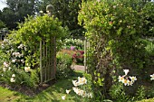 FRONT GARDEN WITH GATES WITH FRAGRANT CLIMBING LONICERA AND LILLIUM REGAL AT WOLLERTON OLD HALL