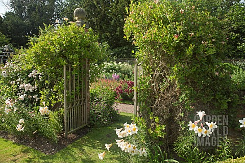 FRONT_GARDEN_WITH_GATES_WITH_FRAGRANT_CLIMBING_LONICERA_AND_LILLIUM_REGAL_AT_WOLLERTON_OLD_HALL