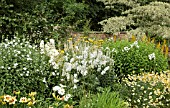 DEEP BORDER OF YELLOW AND WHITE, AT WOLLERTON OLD HALL