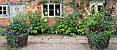 ALCEA ROSEA AND LARGE BARRELS AT WOLLERTON OLD HALL
