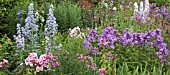 BORDER OF HERBACEOUS PERENNIALS PHLOX AND TALL DELPHINIUMS AT WOLLERTON OLD HALL