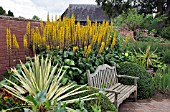 LIGULARIA PRZEWALSKII AT WOLLERTON OLD HALL