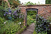 GATEWAY WITH CLEMATIS PRINCE CHARLES AND CLEMATIS ARABELLA AT WOLLERTON OLD HALL