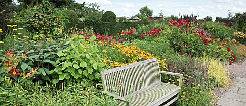 THE_LANHYDROCK_GARDEN_WITH_WOODEN_BENCH_AND_BORDERS_OF_HERBACEOUS_PERENNIALS_IN_HOT_COLOURS_AT_WOLLE