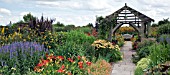 DEEP BORDERS OF HOT COLOURED PERENNIALS, OAK PERGOLA AND WOODEN BENCH AT WOLLERTON OLD HALL