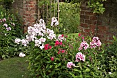 PHLOX AND GATES AT WOLLERTON OLD HALL