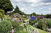 BORDERS OF HERBACEOUS PERENNIALS, GRASS PATHS, MATURE TREES  AT WOLLERTON OLD HALL