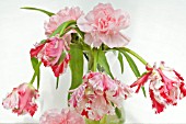 VASE OF TULIPS AND CARNATIONS