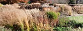 BORDERS IN LATE AUTUMN FROM GRASSES, SEEDHEADS, AND STEMS OF HERBACEOUS PERENNIALS, AT TRENTHAM GARDENS STAFFORDSHIRE IN NOVEMBER DESIGNED BY PIET OUDOLF