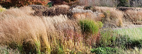 BORDERS_IN_LATE_AUTUMN_FROM_GRASSES_SEEDHEADS_AND_STEMS_OF_HERBACEOUS_PERENNIALS_AT_TRENTHAM_GARDENS