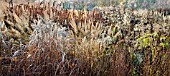 BORDERS IN LATE AUTUMN WITH RICH AUTUMNAL RUSSET TONES AT TRENTHAM GARDENS