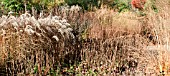 BORDERS IN LATE AUTUMN WITH RICH AUTUMNAL RUSSET TONES AT TRENTHAM GARDENS