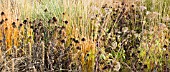 BORDERS IN LATE AUTUMN WITH RICH AUTUMNAL RUSSET TONES AT TRENTHAM GARDENS