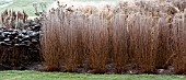 FROSTED BORDERS OF ORNAMENTAL GRASSES, AND SEEDHEADS AT TRENTHAM GARDENS