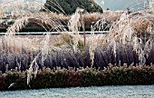FROSTED GRASSES IN ITALIANATE FORMAL GARDEN AT TRENTHAM GARDENS