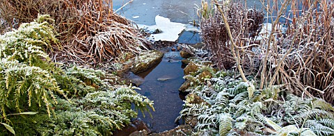 POND_IN_LATE_AUTUMN_EARLY_WINTER_FROSTS