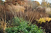 BORDERS IN LATE AUTUMN OF GRASSES, SEED HEADS, AND STEMS OF HERBACEOUS PERENNIALS,  AT TRENTHAM GARDENS STAFFORDSHIRE IN NOVEMBER DESIGNED BY PIET OUDOLF