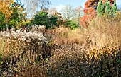 BORDERS IN LATE AUTUMN FROM GRASSES, SEED HEADS, AND STEMS OF HERBACEOUS PERENNIALS AT TRENTHAM GARDENS STAFFORDSHIRE IN NOVEMBER DESIGNED BY PIET OUDOLF