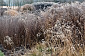 FROSTED BORDERS OF ORNAMENTAL GRASSES, AND SEEDHEADS