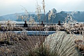 PLUMES OF FROSTED SEEDHEADS OF ORNAMENTAL GRASS IN ITALIANATE FORMAL GARDEN AT TRENTHAM GARDENS
