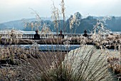 PLUMES OF FROSTED SEEDHEADS OF ORNAMENTAL GRASS IN ITALIANATE FORMAL GARDEN AT TRENTHAM GARDENS