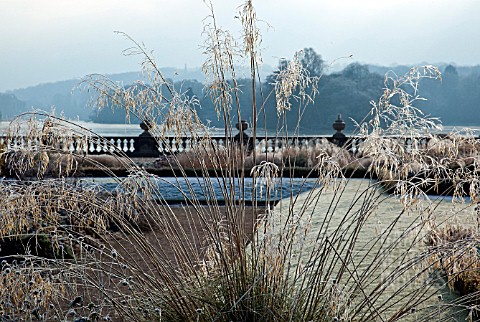 PLUMES_OF_FROSTED_SEEDHEADS_OF_ORNAMENTAL_GRASS_IN_ITALIANATE_FORMAL_GARDEN_AT_TRENTHAM_GARDENS