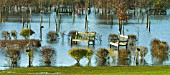 YOUNG TREES, SHRUBS AND WOODEN BENCHES SUBMERGED IN FLOOD WATER AFTER HEAVY RAINFALL IN SUMMER AT NATIONAL ABORETUM ALREWAS STAFFORDSHIRE
