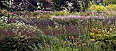 STIPA GIGANTICA IN MIXED BORDERS AT TRENTHAM GARDENS