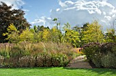 BETULA NIGRA IN AUTUMN AT TRENTHAM GARDENS STAFFORDSHIRE