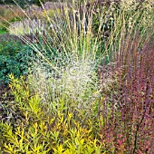 BORDERS IN AUTUMN, ORNAMENTAL GRASSES AND SEEDHEADS AT TRENTHAM GARDENS DESIGNED BY PIET OUDOLF
