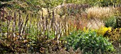 BORDERS IN AUTUMN, ORNAMENTAL GRASSES AND SEEDHEADS AT TRENTHAM GARDENS DESIGNED BY PIET OUDOLF
