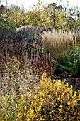 BORDERS IN AUTUMN, ORNAMENTAL GRASSES AND SEEDHEADS AT TRENTHAM GARDENS DESIGNED BY PIET OUDOLF